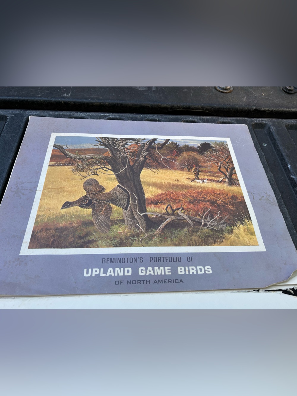 Set 8 Remington vintage lithographs art prints Upland Game Birds for framing